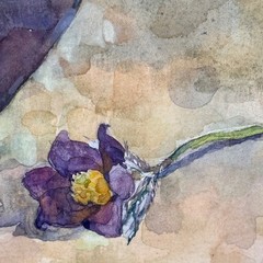 Original Watercolor by Elena V. Melnikova 2001 Russian Floral Still Life