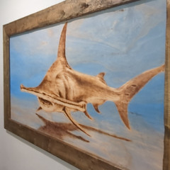 Torched Wood Hammerhead Shark One-Of-A-Kind Original Artwork 53″ x 29″