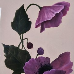 Original Signed Doris Spencer Painting 19.25×13.25 Framed Art – Flower