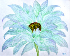 PAINTING WATERCOLOR 11X14 MAT 16X20 FLOWER DAISY GERBERA BLUE LAVENDER ORIGINAL