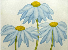 PAINTING WATERCOLOR 11X14 & MAT 16X20 FLOWER DAISY BLUE YELLOW ORIGINAL ART BOHO