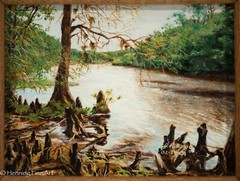 Stunning Original Oil Painting of Cypress Tree Florida River Signed J.R. Boyd 2