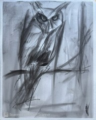 Owl Sketch 11×14 Pastel on Paper Moody Wildlife Bird Art