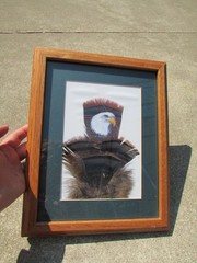 J. Smith Painted Eagle Head On Feather Framed Original Art Green Matt 10″- 12.5″