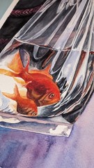 Goldfish Watercolor Painting Fish in Plastic Bag with Water Zodiac Pisces Art A4