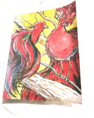 9 inch x 12 inch – Wild Birds Drawing – NO FRAME by A. Avila
