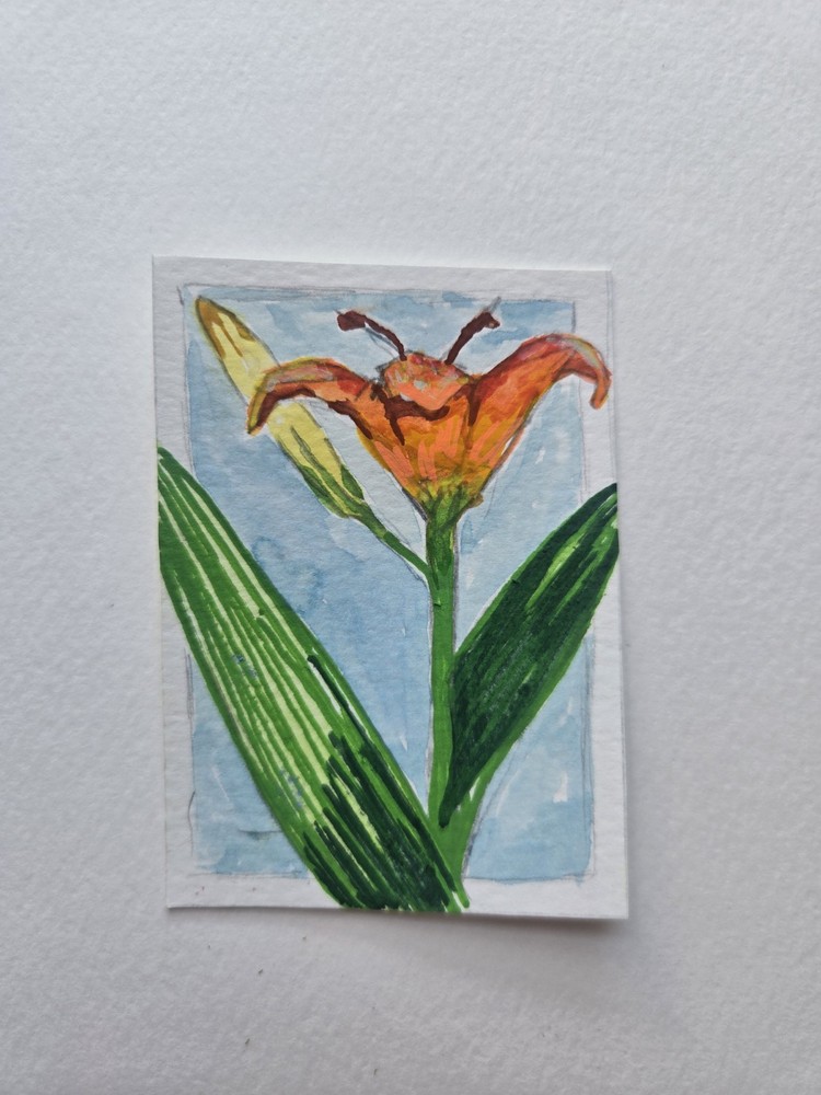 Original ACEO Day Lily 2.5 by 3.5 inches Floral series 3 of 5