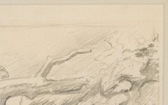 Thomas Hart Benton (1889-1975) Original Graphite Study Nature Scene w Toadstools