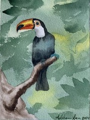 Original watercolor Toucan painting tropical bird art nature wildlife home decor