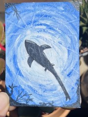 Original Watercolor ACEO: Shark | Mini Ocean Life Art by OnceAgainColor