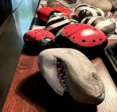 Shark W/natural Mouth Indentation Painted on a Rock! Approx 5 1/2“ X 4“ X 2“￼