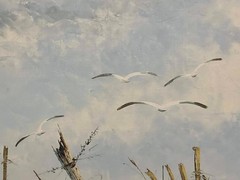 Vintage Oil Painting Beach Coastal Landscape Sand Dunes Seagulls Birds Signed