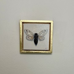 Original Cicada Miniature Oil Painting Framed Nature Animals Art