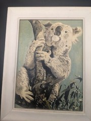 Vintage Artist Signed Oil Painting Koala Bear On Tree Framed 9.5×7.5″