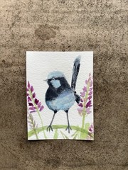 ACEO By Kenna Blue Fairy Wren Watercolour Painting 2.5” X 3.5” Signed ATC