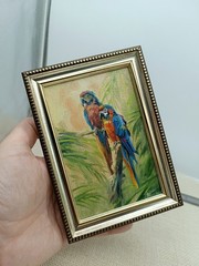 Macaw Parrots Original Oil Painting 4×6 Framed Signed Tropical Birds Wall Art