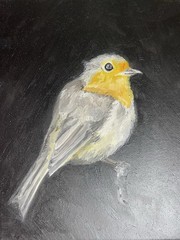 Original Bird Painting Acrylic Canvas Art Hand Painted Small Artwork Robin Gift⁠