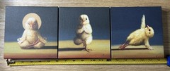 Yoga Chicks 3 Piece Set, Each 6″x6″ By Lucia Heffernan