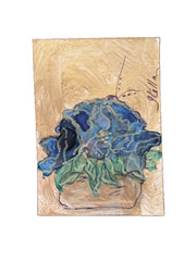 ACEO original art cards 2.5″ x 3.5″ New ‚Poppies in Bloom‘ Colorado June 2026