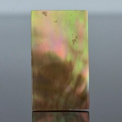 Hummingbird Original Painted Mother-of-Pearl Shell Rectangular Cabochon 35x20mm