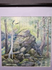 Deborah C Dawson Signed Watercolor Forest Rock Landscape Birds 21¼“x 21¼“ Framed