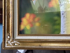Vintage Ornate Gold Bird Art Frames Featuring Lovely Bird Prints & Quotes Set 2