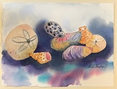 Sea Shells Original Watercolor Painting