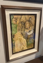 Lion Watercolor Painting Framed and Matted Signed by Artist
