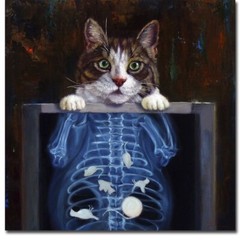 Cat Scan by Lucia Heffernan Gallery-Wrapped Canvas Giclee Art (24 in x 24 in)