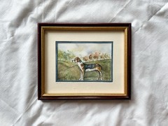 Original Watercolor Painting Foxhound / Harrier 8”x10” Dog Portrait