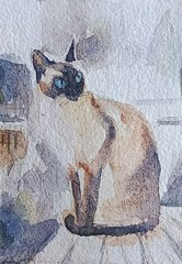 ACEO watercolor painting original Siamese cat home animal pet rural life #SIBY