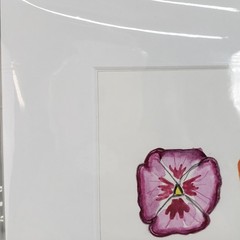 Original Watercolor Pansy Flower Art Signed Teresa Johnston Pink Orange Yellow