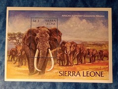 Sierra Leone, 1983 African Elephant, Wild Life MNH