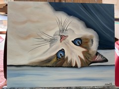 Original oil painting 11 x 14 inch beautiful white cat blue eyes- free shipping