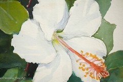 Beautiful Vintage Tropical Floral Painting of Blooming White Hibiscus, Fine!