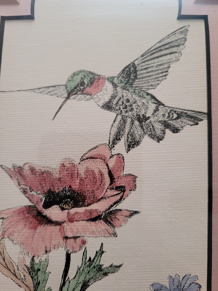 Hummingbird & Poppy Pen & Ink Watercolor Print Signed and Framed