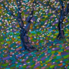 Paul Stephens – Framed Contemporary Oil, Blossom, Apple Orchard