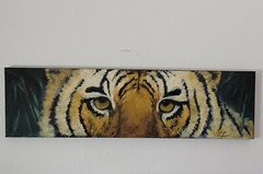 original tiger painting by Sedona artist Linda Lee 16″ x 58″ unframed