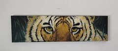 original tiger painting by Sedona artist Linda Lee 16″ x 58″ unframed