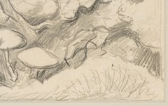 Thomas Hart Benton (1889-1975) Original Graphite Study Nature Scene w Toadstools