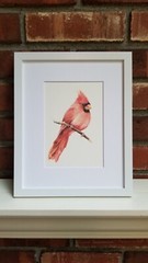 Red Cardinal. Print of an original watercolor painting. 5×7″with white mat 8×10″