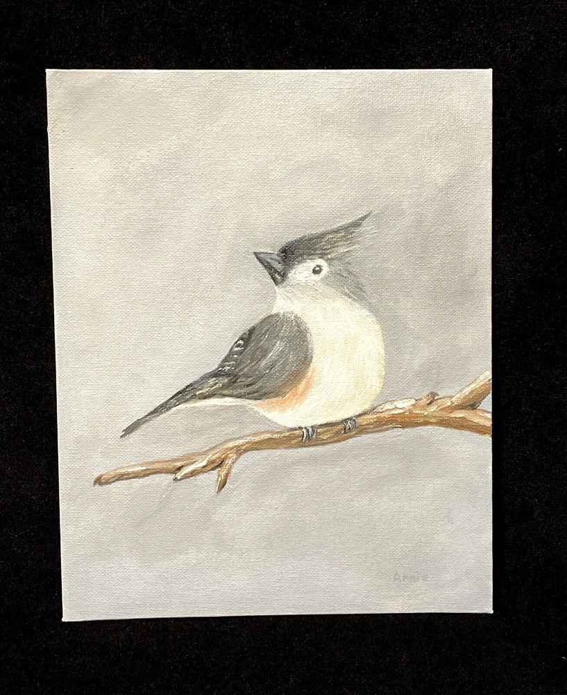 Tufted Titmouse Oil Painting Original 8×10 Canvas Boar Bird Art Signed