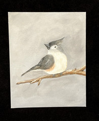Tufted Titmouse Oil Painting Original 8×10 Canvas Boar Bird Art Signed
