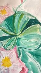 Original Watercolor Morning Glory Pink Flower Garden Wall Signed 9×12 Unframed