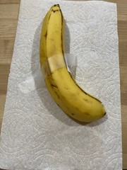Real Banana Art