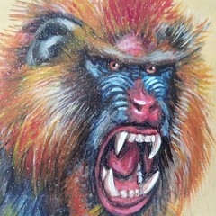 Original Acrylic Painting Colorful Mandrill Monkey Portrait Small Hand Painted