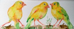 Yellow canaries,Bird art Original watercolor painting,nature lover unique gift