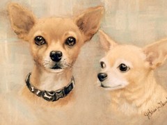 CUSTOM PET PORTRAIT of your Pet from Photo