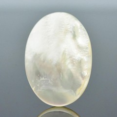 Original Hand Painted Fox Mother-of-Pearl Shell Cabochon Miniature Art 25x18mm