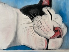 Original oil painting signed 11 x 14 in cute white and black cat sleeping